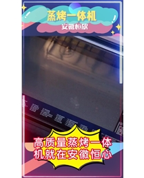 參考案例十七