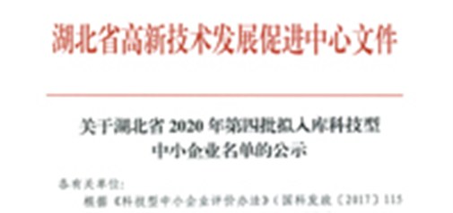 恭喜我司獲得武漢市“科技型中小企業(yè)”榮譽稱號！